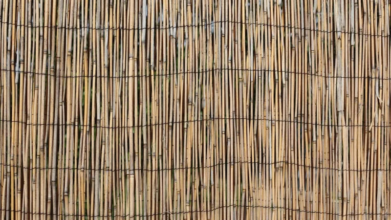 Artgeist Parawan 3-Częściowy – Dotyk Lata [Room Dividers] 135X172