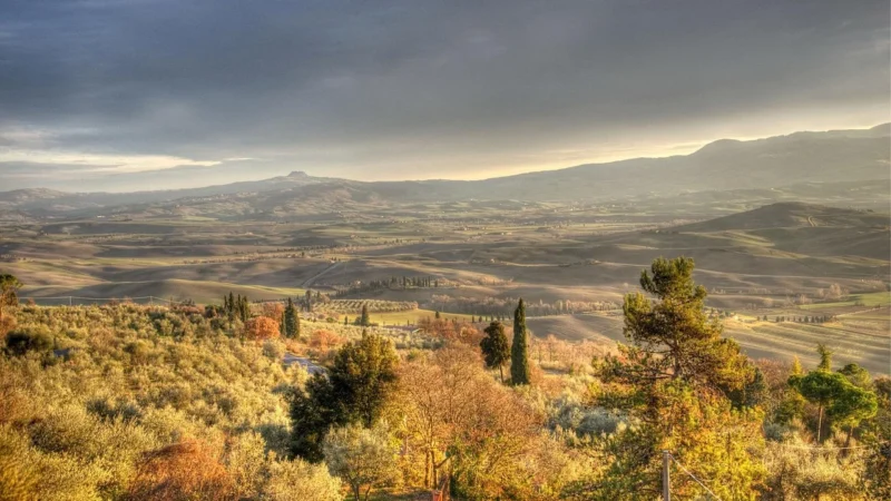 Baldocer Pienza Avorio Pulido 60X120