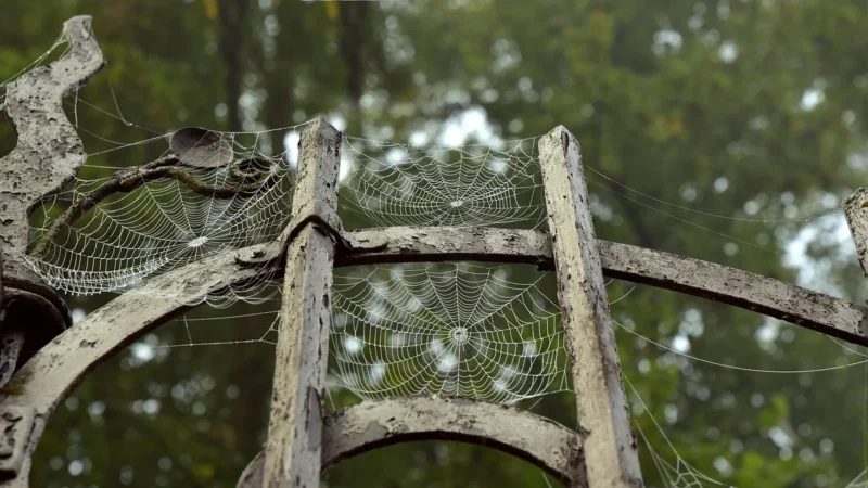Brama dwuskrzydłowa z grotami, stalowa, 3×1,5 m, c