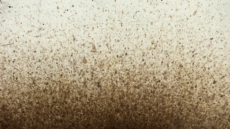 Dulux Ściana I Sufit Codziennie Migdałowy 2,5L