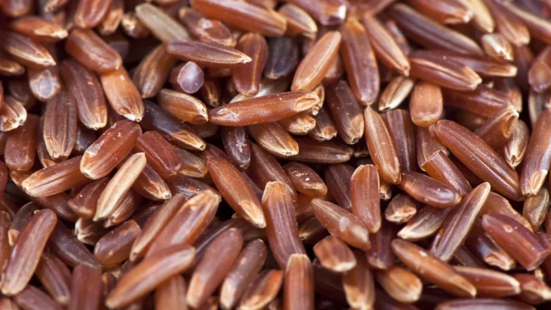 Eijffinger Rice 383570