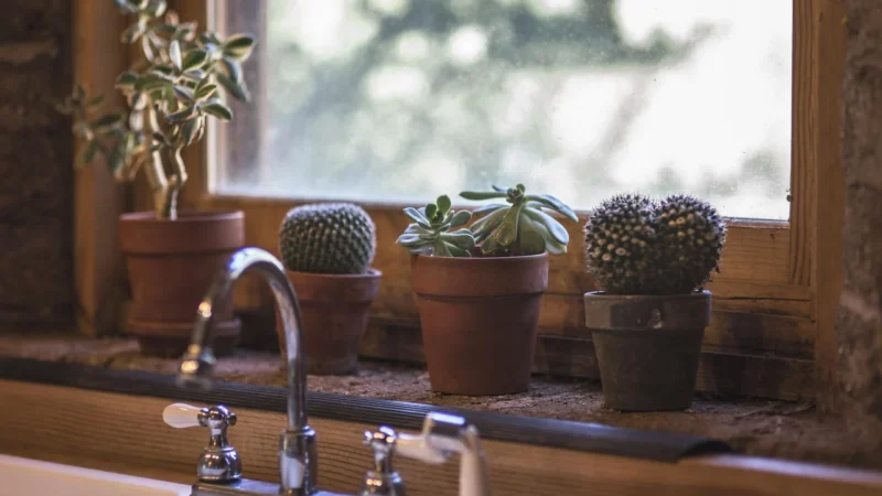 Grohe Concetto 32663003
