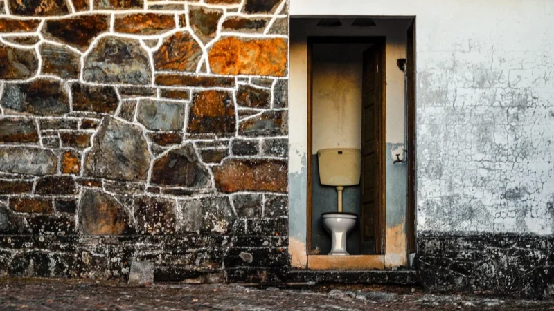Hansgrohe (52105670)