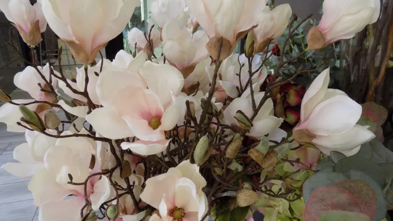 Khroma Tapeta Lav301 Musa La Vie En Rose