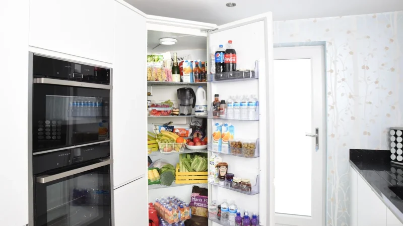 Lodówka Gorenje RK4161PW4
