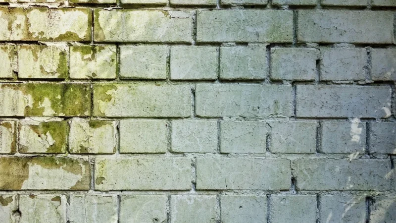 Orac Decor Listwa Ścienna Duropolymer Biała Z Duropolimeru 200X12X25 (PX103)