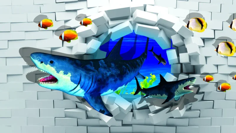 Peronda Shark-S