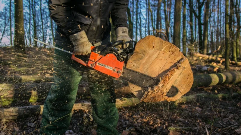 Piła Worx Pila Elektryczna Wg381E