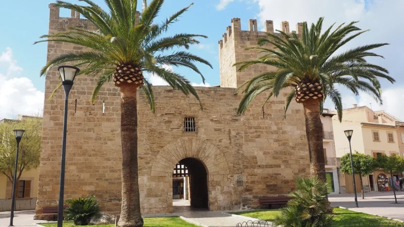 Porta Verte Home Grupa G G.4