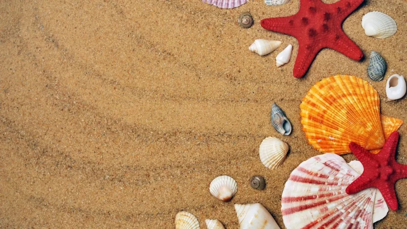 Rasch Pasek dekoracyjny papierowy dla dzieci PolAmi Kids & Teens Trendy 544107