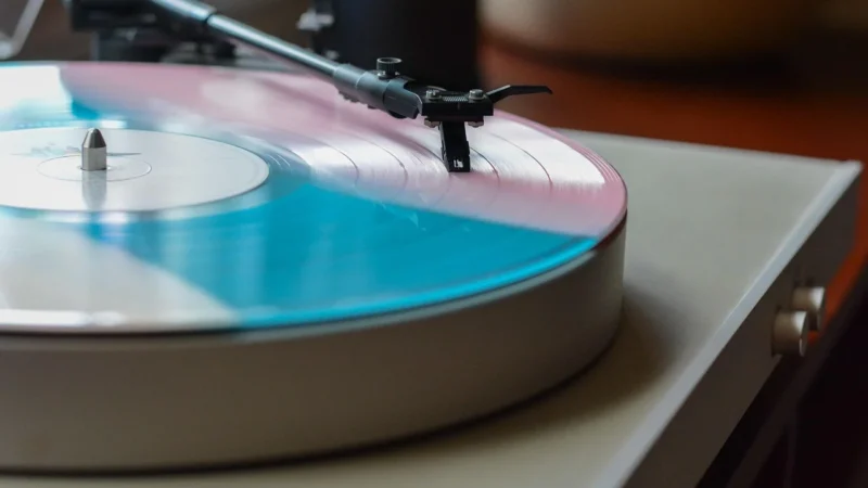 Rasch Selection Vinyl Zielony Biały