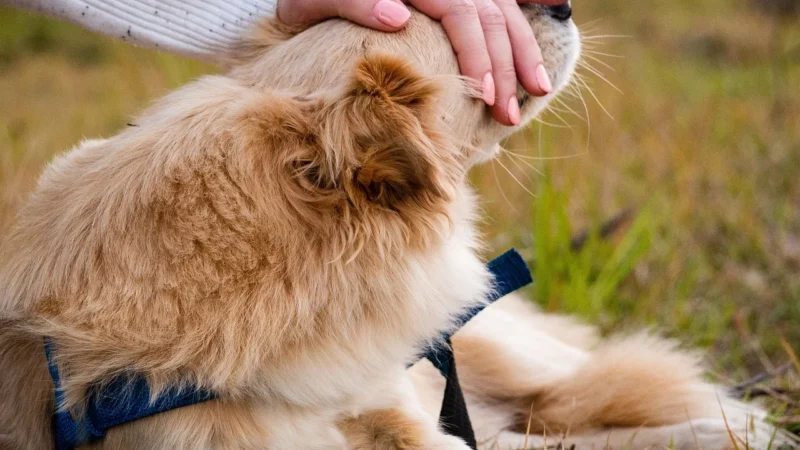 Tesa Gwóźdź samoprzylepny do otworów profilowanych, do tynku i tapet 0,5kg