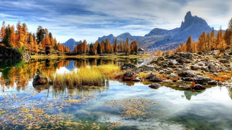 Tulup Fototapeta Panorama Alp Samoprzylepna 312x219cm (PLFS433655188)